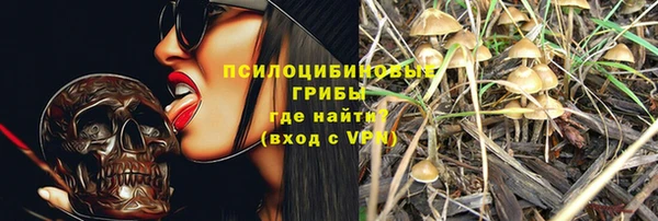 мет Аркадак