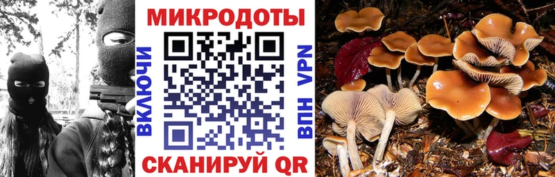 магазин продажи наркотиков Верхний Уфалей МЕГА маркетплейс Галлюциногенные грибы мицелий